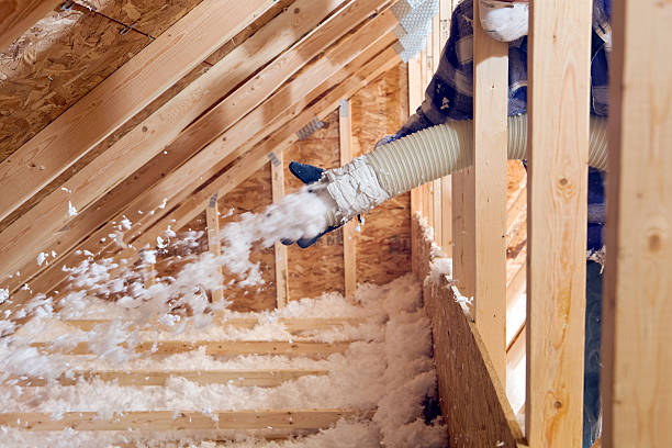 Best Blown-In Insulation in Monticello, FL