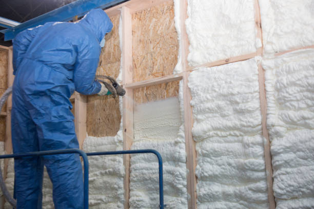 Best Pipe and Duct Insulation in Monticello, FL